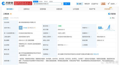菜鳥網(wǎng)絡(luò)再布局物聯(lián)網(wǎng)賽道，同日成立兩家技術(shù)公司聚焦信息服務(wù)
