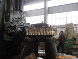 洛陽(yáng)申川齒輪制造 蝸輪產(chǎn)品全覽與齒輪生產(chǎn)銷售服務(wù)