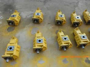 專業(yè)雙聯(lián)齒輪油泵選購(gòu)指南 廠家、型號(hào)、質(zhì)量與價(jià)格全解析